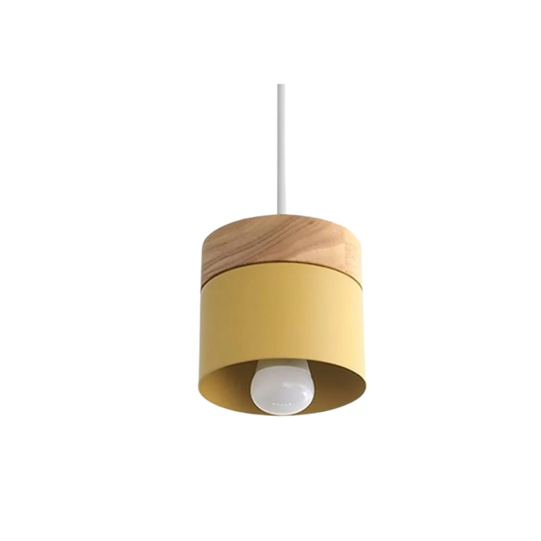 Suspenro Pendant Light