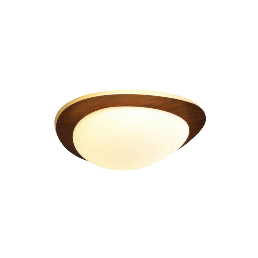 Avonor Ceiling Light