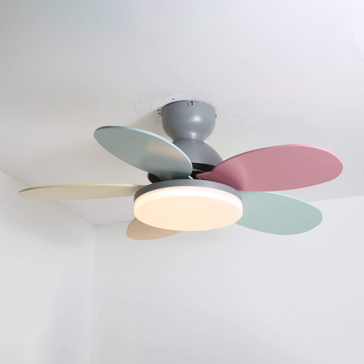 Paledo LED Ceiling Fan
