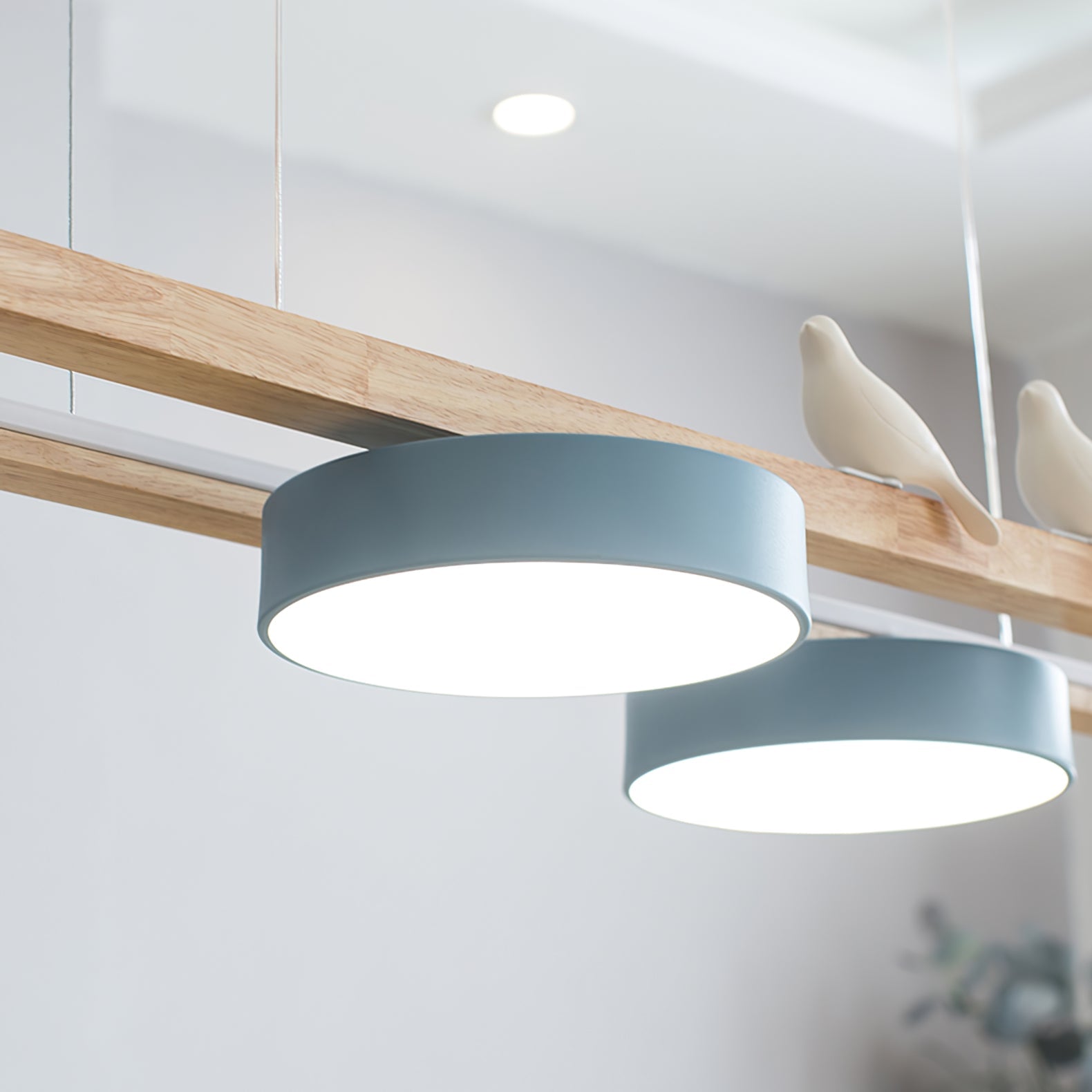 Felira Birdlace Pendant Light