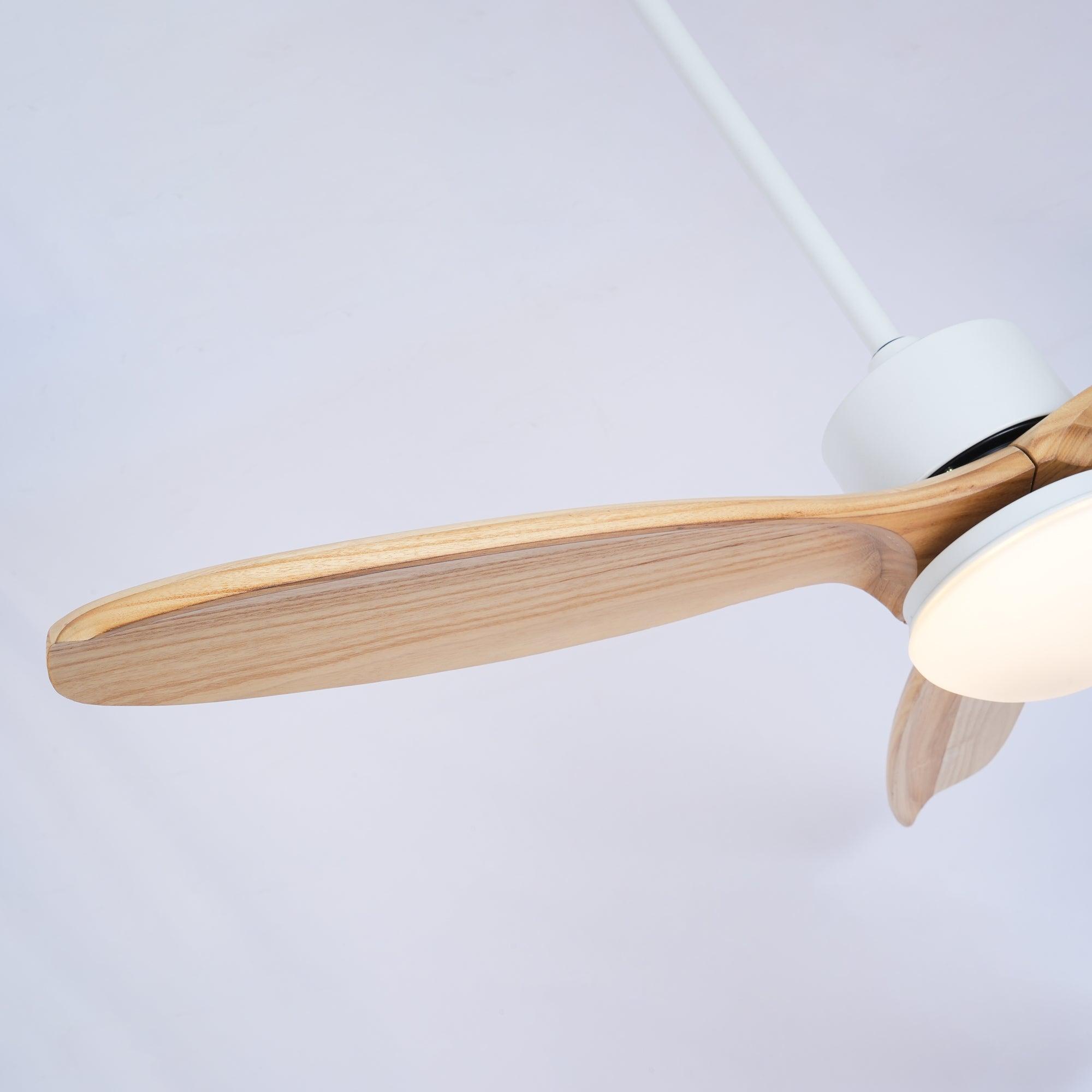 Bardune LED Ceiling Fan