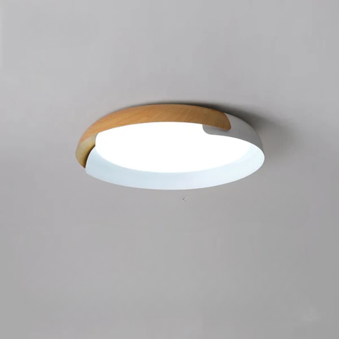 Cassaro Ceiling Light