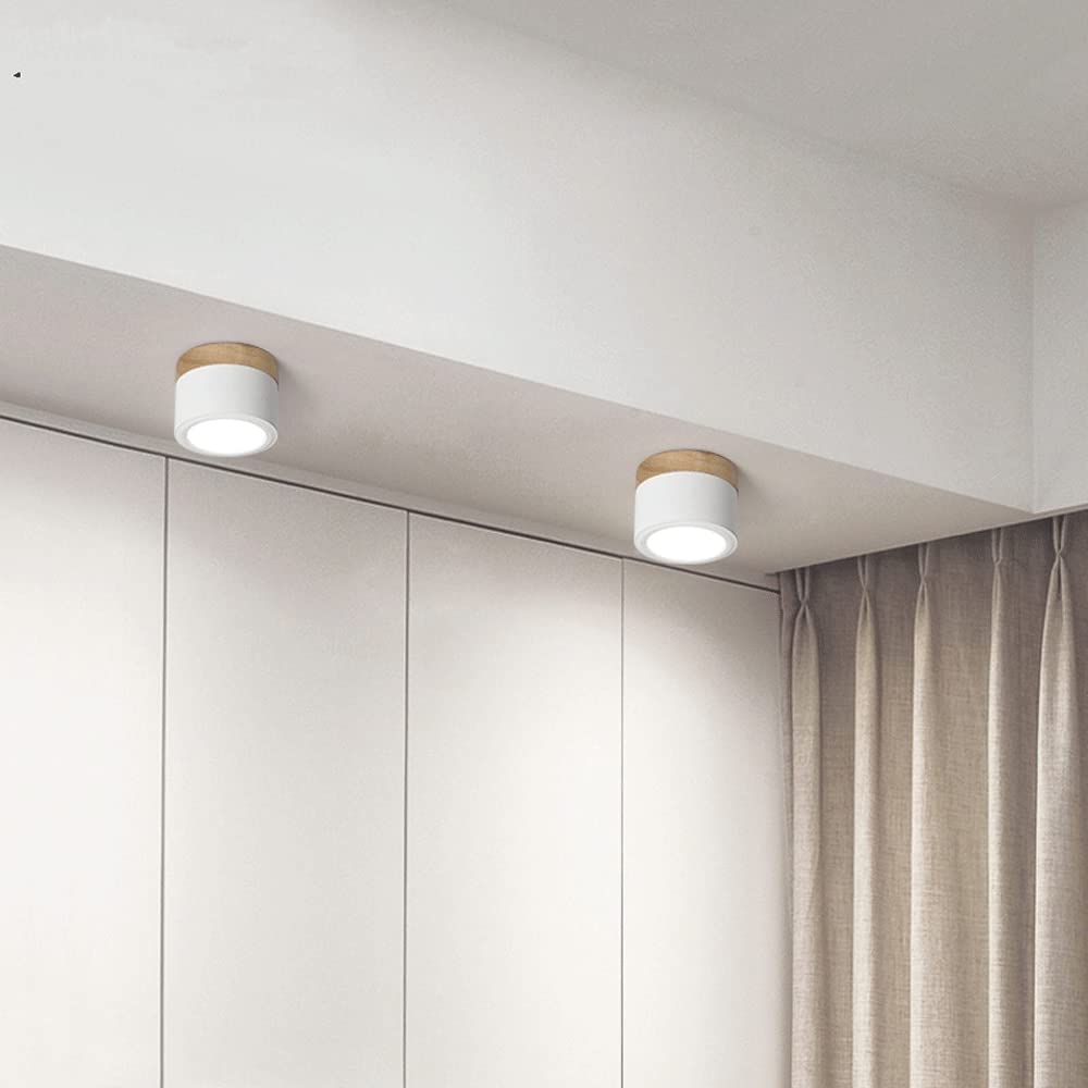 Cylano Small Ceiling Light